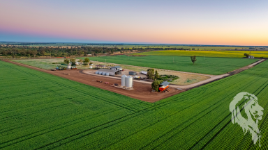 Cropping For Sale - NSW - Narrabri - 2390 - PRODUCTIVE BROADACRE HOLDING - CLOSE TO TOWN  (Image 2)