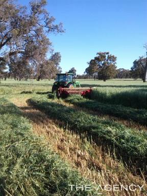 Residential Block For Sale - WA - Morangup - 6083 - "A PEACE OF MAGIC IN MORANGUP"  (Image 2)