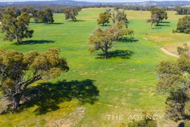 Residential Block For Sale - WA - Morangup - 6083 - "A PEACE OF MAGIC IN MORANGUP"  (Image 2)