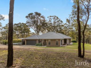 Lifestyle For Sale - NSW - Lovedale - 2325 - Love The Location  (Image 2)