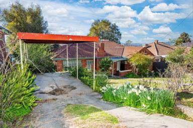 House Auction - NSW - Albury - 2640 - Charming brick home in Albury’s “Dress Circle” of Forrest Hill  (Image 2)