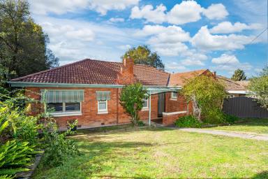 House Auction - NSW - Albury - 2640 - Charming brick home in Albury’s “Dress Circle” of Forrest Hill  (Image 2)