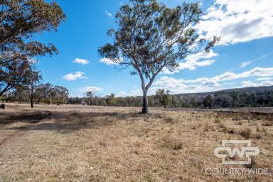Lifestyle For Sale - NSW - Torrington - 2371 - Peaceful 10-Acre Building Block in Torrington  (Image 2)