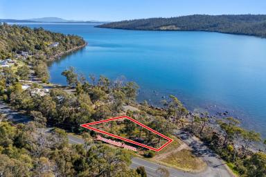 Residential Block For Sale - TAS - Eaglehawk Neck - 7179 - Waterfront Lifestyle Opportunity – Eaglehawk Neck  (Image 2)