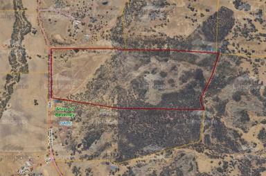 Other (Rural) For Sale - WA - Beverley - 6304 - 130 Acres of Natural Wonder in Dale  (Image 2)
