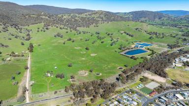 Lifestyle Auction - VIC - Tallangatta - 3700 - Farming within walking distance to Tallangatta town centre  (Image 2)