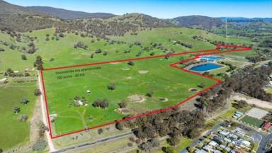 Lifestyle Sold - VIC - Tallangatta - 3700 - Farming within walking distance to Tallangatta town centre  (Image 2)