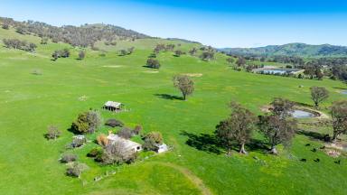 Lifestyle Auction - VIC - Tallangatta - 3700 - Farming within walking distance to Tallangatta town centre  (Image 2)