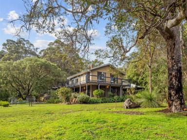 House For Sale - WA - Margaret River - 6285 - Country living on the edge of town.  (Image 2)