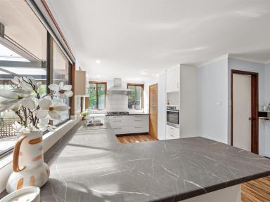House For Sale - WA - Margaret River - 6285 - Country living on the edge of town.  (Image 2)
