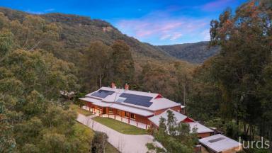 Lifestyle Sold - NSW - Mount Vincent - 2323 - Mountain Magic  (Image 2)