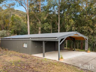 Lifestyle For Sale - NSW - Mount Vincent - 2323 - Mountain Magic  (Image 2)