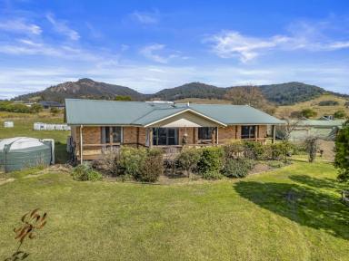 Other (Residential) For Sale - NSW - Gloucester - 2422 - Private Lifestyle Retreat Just Minutes from the centre of Gloucester  (Image 2)