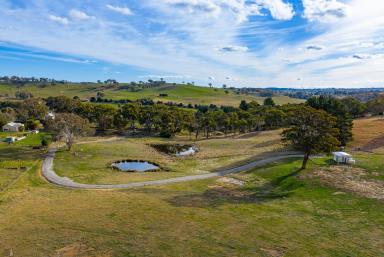 Lifestyle Auction - NSW - Binda - 2583 - Your country escape awaits!  (Image 2)