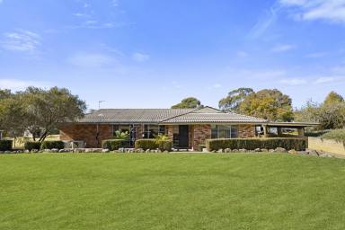 Acreage/Semi-rural For Sale - NSW - Portland - 2847 - Exquisite rural retreat with views and opportunities!  (Image 2)