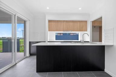 House For Lease - NSW - Raymond Terrace - 2324 - BRAND NEW HOME IN ROSLYN PARK ESTATE!!  (Image 2)