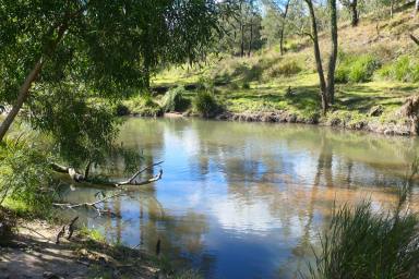 Lifestyle For Sale - NSW - Rocky River - 2372 - LIVING THE DREAM  (Image 2)