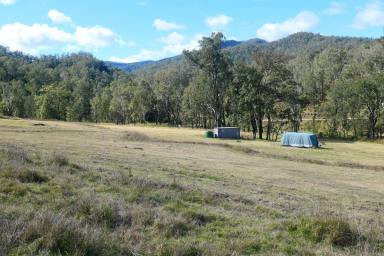 Lifestyle For Sale - NSW - Rocky River - 2372 - LIVING THE DREAM  (Image 2)