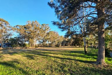 House For Sale - QLD - Crows Nest - 4355 - Immaculate spacious 3-bedroom home, sheds on 3/4 of an acre.  (Image 2)
