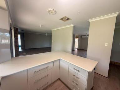 House For Sale - WA - Gingin - 6503 - NEST, REST OR INVEST  (Image 2)