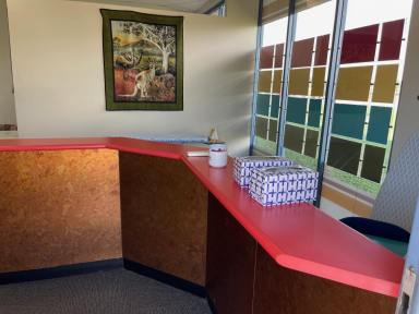Medical/Consulting For Sale - QLD - Mount Pleasant - 4740 - HIGHEST PROFILE - HIGH BUSINESS AWARENESS  (Image 2)