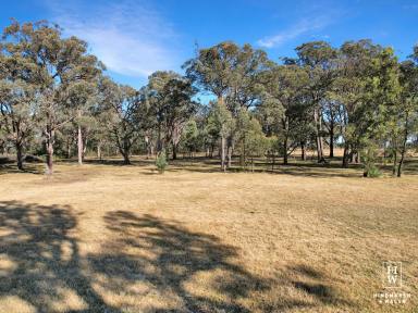 Mixed Farming For Sale - NSW - Paddys River - 2577 - Rural Lifestyle Opportunity  (Image 2)