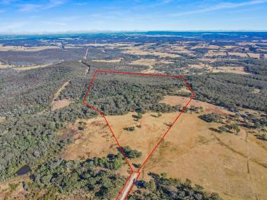 Mixed Farming For Sale - NSW - Paddys River - 2577 - Southern Highlands Acreage with Infrastructure & Potential  (Image 2)