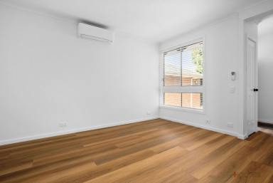 Unit For Lease - VIC - Cheltenham - 3192 - RENOVATED | BRIGHT & SPACIOUS | GREAT LOCATION  (Image 2)