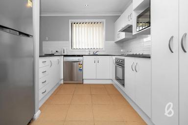 Duplex/Semi-detached Sold - NSW - Singleton - 2330 - Perfect First Home Buy or Investment!  (Image 2)