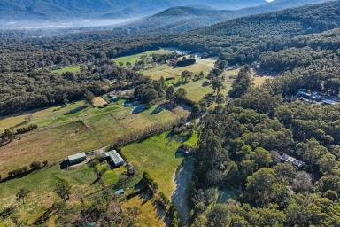 Residential Block For Sale - VIC - Yarra Junction - 3797 - A RARE FIND- 5 ACRES APPROX WITH SHED, VIEWS & ENDLESS POTENTIAL  (Image 2)