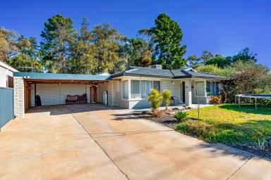 House For Sale - VIC - Irymple - 3498 - Discover Modern Comfort in Irymple's Heart  (Image 2)