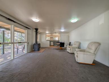 House For Sale - VIC - Koondrook - 3580 - Murray River Township – Spacious Home on a Beautiful Allotment  (Image 2)