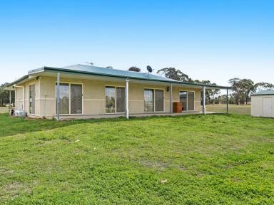 Lifestyle For Sale - QLD - Bony Mountain - 4370 - Owner Says Bring All Reasonable Offers  (Image 2)