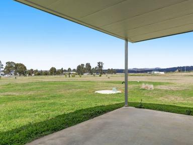 Lifestyle For Sale - QLD - Bony Mountain - 4370 - Owner Says Bring All Reasonable Offers  (Image 2)