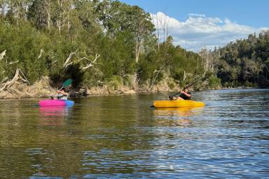 Other (Rural) Auction - NSW - Nerrigundah - 2545 - 41.78 Hidden Acres on the Tuross River  (Image 2)