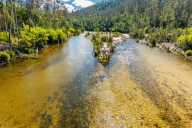 Other (Rural) Auction - NSW - Nerrigundah - 2545 - 41.78 Hidden Acres on the Tuross River  (Image 2)