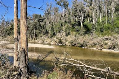 Other (Rural) Auction - NSW - Nerrigundah - 2545 - 41.78 Hidden Acres on the Tuross River  (Image 2)