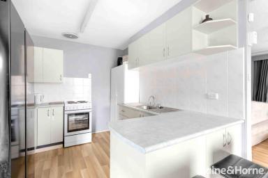 House For Sale - NSW - Nowra - 2541 - Great Investment & First Home  (Image 2)