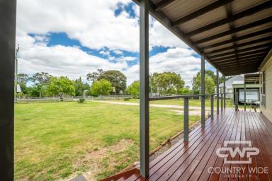House For Lease - NSW - Black Mountain - 2365 - Modern Rural Retreat: Quality, Space, and Serenity  (Image 2)
