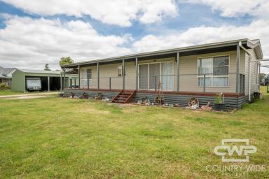 House For Lease - NSW - Black Mountain - 2365 - Modern Rural Retreat: Quality, Space, and Serenity  (Image 2)