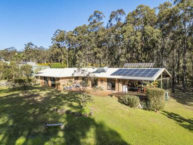 Acreage/Semi-rural For Sale - NSW - East Seaham - 2324 - Solar Passive and Ergonomically Designed Home  (Image 2)
