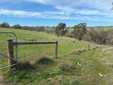 Mixed Farming For Sale - VIC - Harrow - 3317 - For Lease by Expression of Interest  (Image 2)