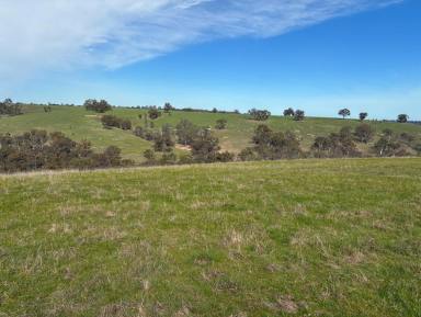 Mixed Farming For Sale - VIC - Harrow - 3317 - For Lease by Expression of Interest  (Image 2)