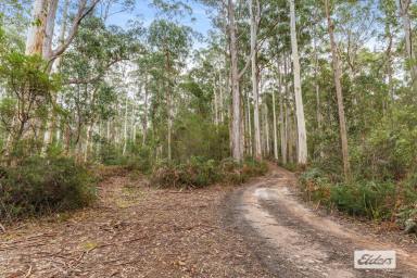 Other (Rural) For Sale - TAS - Gunns Plains - 7315 - RELAX AT YOUR OWN PERSONAL BUSH RETREAT  (Image 2)