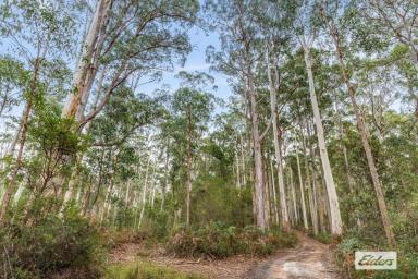 Other (Rural) For Sale - TAS - Gunns Plains - 7315 - RELAX AT YOUR OWN PERSONAL BUSH RETREAT  (Image 2)
