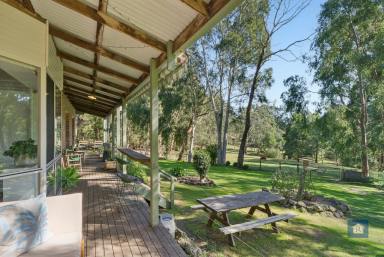 Lifestyle Sold - VIC - Kawarren - 3249 - Sanctuary Among the Gums  (Image 2)