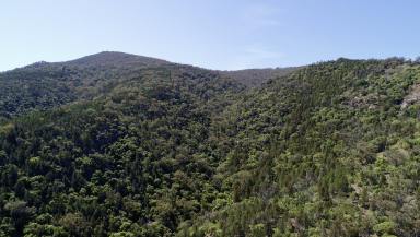 Lifestyle For Sale - NSW - Moore Creek - 2340 - Introducing “Mount Sterling” – A Rare Legacy Estate Offering  (Image 2)