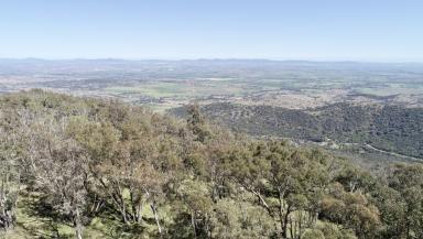Lifestyle For Sale - NSW - Moore Creek - 2340 - Introducing “Mount Sterling” – A Rare Legacy Estate Offering  (Image 2)