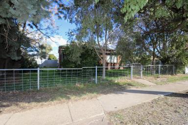 House Auction - NSW - West Wyalong - 2671 - Prime Main Street Property - Renovate or Develop  (Image 2)