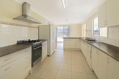House For Sale - NSW - Glen Innes - 2370 - Serene Street Appeal - Brick Family Home  (Image 2)